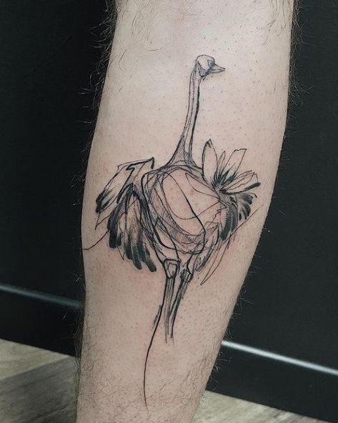 ostrich Ostrich Tattoo, Ostrich Art, Bird Tattoo Design, Best Paintings, Latest Tattoo Design, Latest Tattoos, Tattoo Design Ideas, Bird Tattoo, Tattoo Meaning