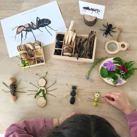 Insects Preschool, Insect Activities, Forest School Activities, Insects Theme, Nature School, Cnc Files, Outdoor Learning, Spring Activities, Toddler Learning Activities