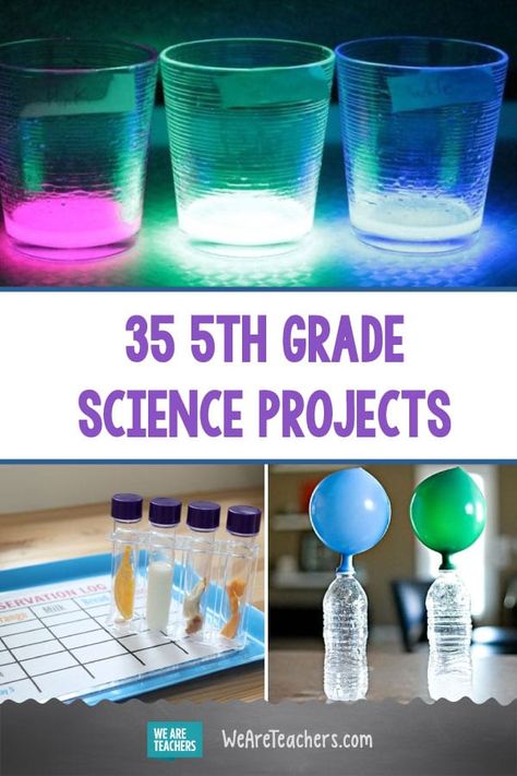 Science Experiments 5th Grade, 5th Grade Science Worksheets, Science Fair Projects Ideas, 5th Grade Science Experiments, Science Project Board, 5th Grade Science Projects, Science Fair Projects Boards, Science Experiments Kids Easy, Science Classroom Decorations