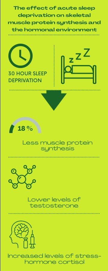 5 Hours Of Sleep, Important Enough, Sleep Phases, Gain Mass, Muscle Repair, Muscle Protein, Adequate Sleep, Skeletal Muscle, Quality Sleep