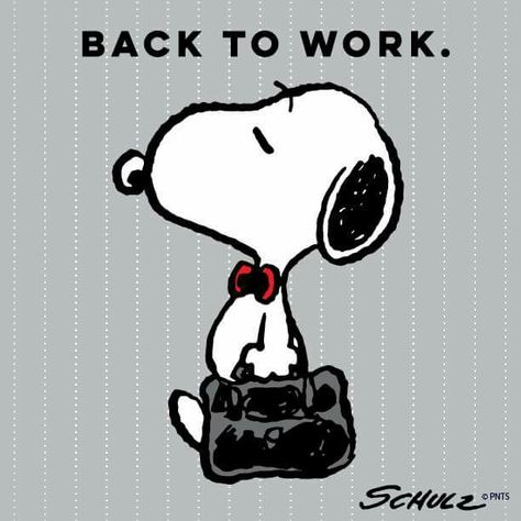 Joe Worker Snoopy Funny, Snoopy Images, Peanuts Cartoon, Snoopy Quotes, Snoopy Pictures, Snoop Dog, Snoopy Love, Charlie Brown Peanuts, Charlie Brown And Snoopy