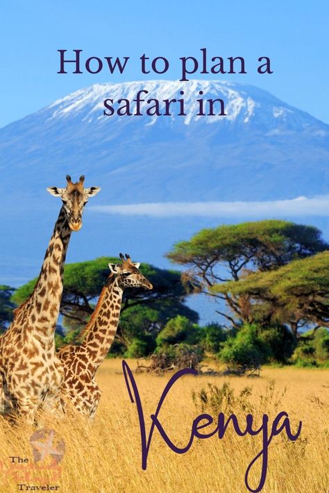 Kenya Safari: What you need to know - The Directionally Challenged Traveler Africa Itinerary, Diani Beach, African Luxury, Africa Travel Guide, Africa Photography, Kenya Travel, The Great Migration, Kenya Safari, African Travel