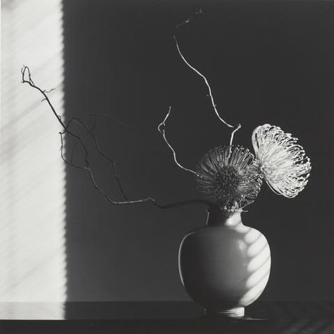 A Mapplethorpe show without the moral outcry | photography | Phaidon Robert Mapplethorpe Photography, Still Life Images, Robert Mapplethorpe, Still Life Photos, Getty Museum, Rule Of Thirds, Steven Meisel, Richard Avedon, Gelatin Silver Print