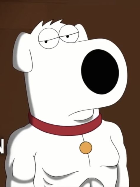 Brian Griffin, Fantasy Basketball, Family Guy, Snoopy, Basketball, Memes, Fictional Characters, Quick Saves, Art