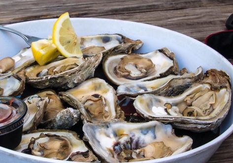 Baked Oyster Recipes, Oyster Chowder, Oyster Stew Recipes, Steamed Oysters, Canned Oysters, Oyster Soup, Oyster Stew, Cooked Oysters, Smoked Oysters