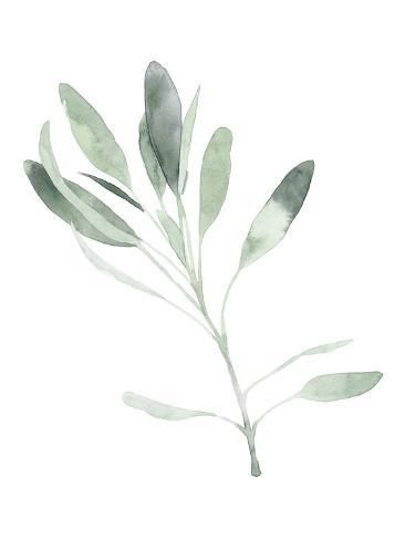 size: 12x9in Art Print: Simple Sage II by Emma Scarvey : Simple Vision Board, Yoga Background, Wallpaper Crafts, Classy Tattoos, Art Print Display, Silhouette Art, Lithography, Doodle Drawings, High Quality Art Prints