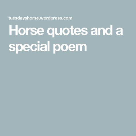 Horse quotes and a special poem Horse Quotes Meaningful Short, Horse Poems, Alameda County Fair, New Mustang, Somewhere In Time, Horse Quotes, Horse Love, This Is Us Quotes, The Horse