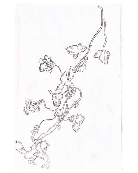 Snap Dragon Vine Drawing, Snapdragon Vine Tattoo, Snap Dragon Vine Tattoo, Snap Dragon Vine, Dragon Vine Tattoo, Vines Sketch, Snap Dragon Tattoo, Snapdragon Tattoo, Flower Vine Tattoos