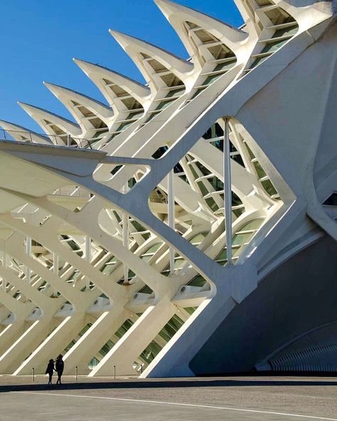 the unparalleled beauty that santiago de calatrava and felix candela created in valencia... the city of arts and... Organic Building Forms, Valencia Architecture, Felix Candela, Valencia City Of Arts And Sciences, Malaga Cathedral, Santiago Calatrava Architecture, Santiago Calatrava, Botanical Beauty, Urban Environment