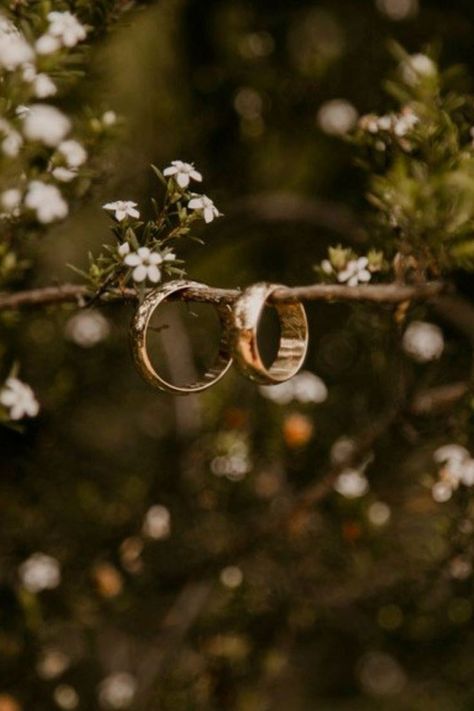 Nature Wedding Photography, Wedding Rings Photography Ideas, Wedding Photography Aesthetic, Pose Tips, Website Design Photography, Ring Photoshoot, Poses Tips, Wedding Photography Detail Shots, Backgrounds Photography