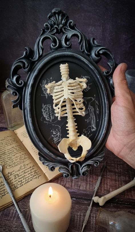 Medical Horror, Vampire Victorian, Horror Home Decor, Gothic Crafts, Gothic Wall Decor, Home Decor Halloween, Dark Home Decor, Goth Home, Goth Home Decor