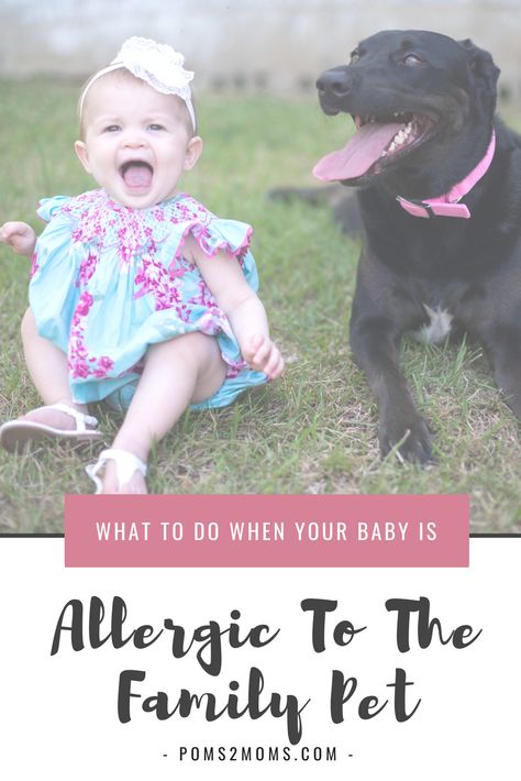 When pets are part of the family, how do you cope when you learn your little one is allergic? Here are 7 tips to making allergies and animals, compatible. #allergies #dogs #kids Allergic To Dogs, Kids Allergies, Mein Kind, Pet Allergies, Dog Allergies, Childrens Health, Kids Nutrition, Baby Hacks, Dog Health