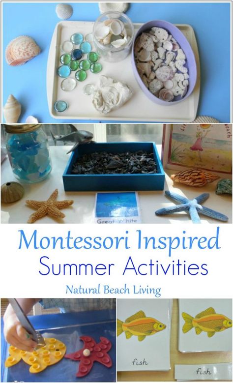 Montessori Summer Activities and Themed Learning Ideas for June, Ocean, Fish, Animals, Cooking with Kids, Fine motor skills, Science, Sensory and more. Summer Preschool Themes, Summer Activities For Toddlers, Montessori Trays, Montessori Activities Preschool, Animal Activities For Kids, Fish Activities, Diy Montessori, Montessori Lessons, Practical Life Activities