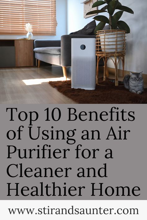 Top ten air purifier benefits Air Purifier Aesthetic, Best Air Purifiers Home, Air Purifier Benefits, Diffuser Benefits, Honeywell Air Purifier, Homemade Detergent, Room Air Purifier, Diy Laundry Detergent, Natural Air Purifier