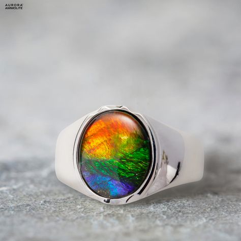 Ammolite Ring, Ammolite Jewelry, Silver Men Ring, Men Ring, Silver Man, Girls Best Friend, Aurora, Jewelry Collection, Silver Jewelry