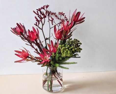 Flowers Australia, Chelsea Wedding, Australian Flowers, Australian Native Flowers, Native Australians, Kangaroo Paw, Still Life Flowers, Vase Arrangements, Australian Native