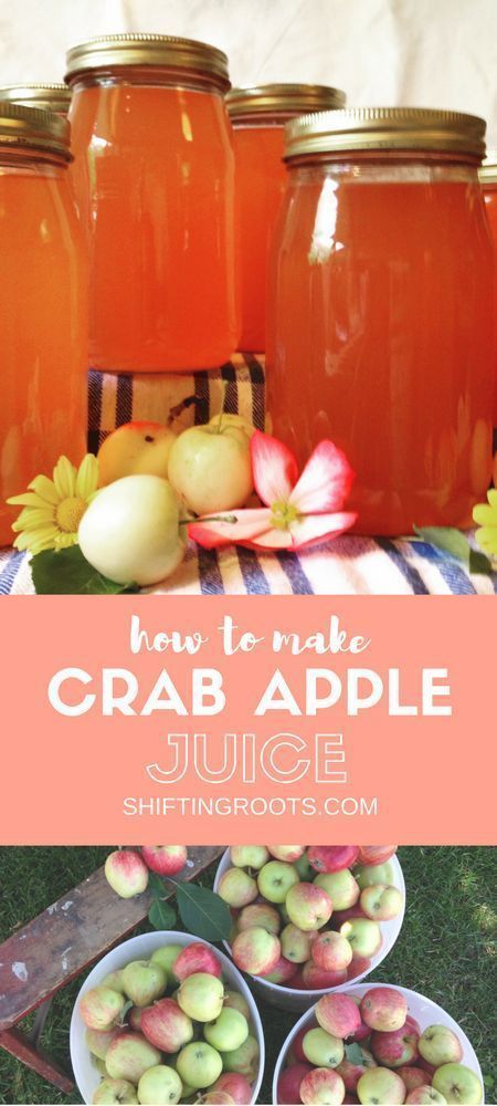 Looking for something to do with your abundance of crab apples? Look no further. Learn how to make crab apple juice to enjoy all year long. Juices To Make, Crab Apple Recipes, Garden Vegetable Recipes, Apple Juice Recipe, Crab Apples, Vegetable Planting, Garden Vegetable, Pickle Juice, Crab Apple