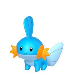 Shiny Mudkip, Pokemon Sprites, Online Communication, Gym Leaders, Internet Connection, Pokemon Characters, Speech Bubble, Brilliant Diamond, Amazing Nature