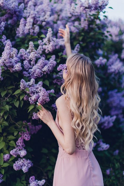 Lilac Photoshoot Ideas, Lilacs Photoshoot, Wisteria Photoshoot, Lilac Photoshoot, Purple Photoshoot, Lifestyle Photography Women, Lilac Background, Spring Portraits, Lilac Tree