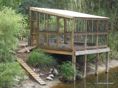 Do you want to build a duck house or coop for your new ducks? Here are 37 of the best free DIY duck house plans we've collected from all over the net. Duck Floating House, Large Duck House, Duck House Ideas, Goose Coop, Diy Duck House, Floating Duck House, Duck Enclosure, Duck House Plans, Duck Houses