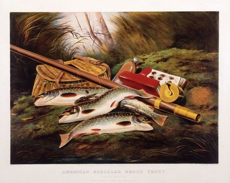 Trout Fishing 19th Century Landscape, Trout Fishing Tips, Brook Trout, Fishing Adventure, Print Illustration, Home Decor Accents, Gone Fishing, Trout Fishing, Decor Accents