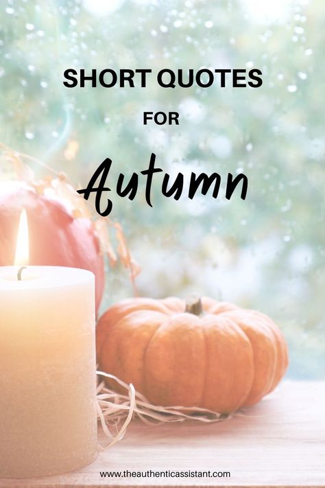 short quotes for Autumn Seasons Change Quotes, Quotes For Autumn, Quotes For Fall, Quotes About Autumn, Fall Season Quotes, Autumn Quotes Inspirational, Motivational Quotes Aesthetic, Aesthetic Quotes Positive, Silly Quotes