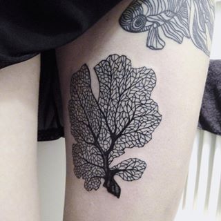 Coral Tattoo Black And White, Feminine Sea Tattoo, Fan Coral Tattoo, Coral Tattoo Design, Sea Themed Tattoos, Marine Life Tattoo, Coral Reef Tattoo, Anemone Tattoo, Water Tattoos