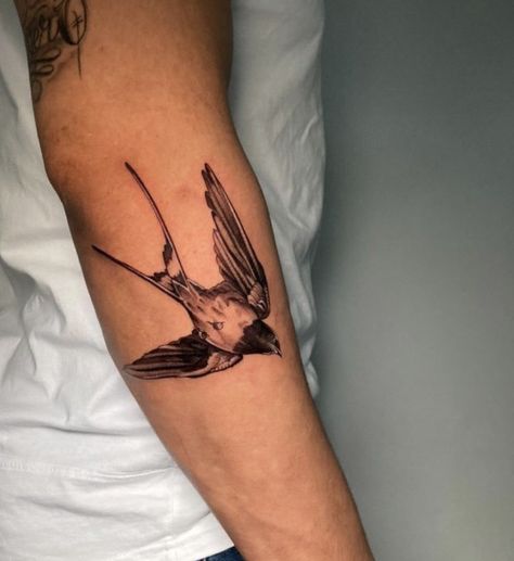 Bird On Forearm Tattoo, Swallow Arm Tattoo Men, Realistic Forearm Tattoo Men, Bird Tattoo Elbow, Swallow Tattoo Men Forearm, Swallow Tattoo Men Arm, Swallow Arm Tattoo, Bird Elbow Tattoo, Swallow Forearm Tattoo