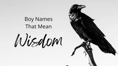 From Ethan to Alden to Conroy and beyond, this list of boy names that mean wisdom is filled with a wide variety of options. Explore the list to find the perfect name for your son. #boynames #babynames J Baby Girl Names, M Baby Girl Names, Boy Name Meanings, Beautiful Baby Girl Names, Names For Boys List, Middle Names For Girls, Greek Names, Classic Names, Baby Name List