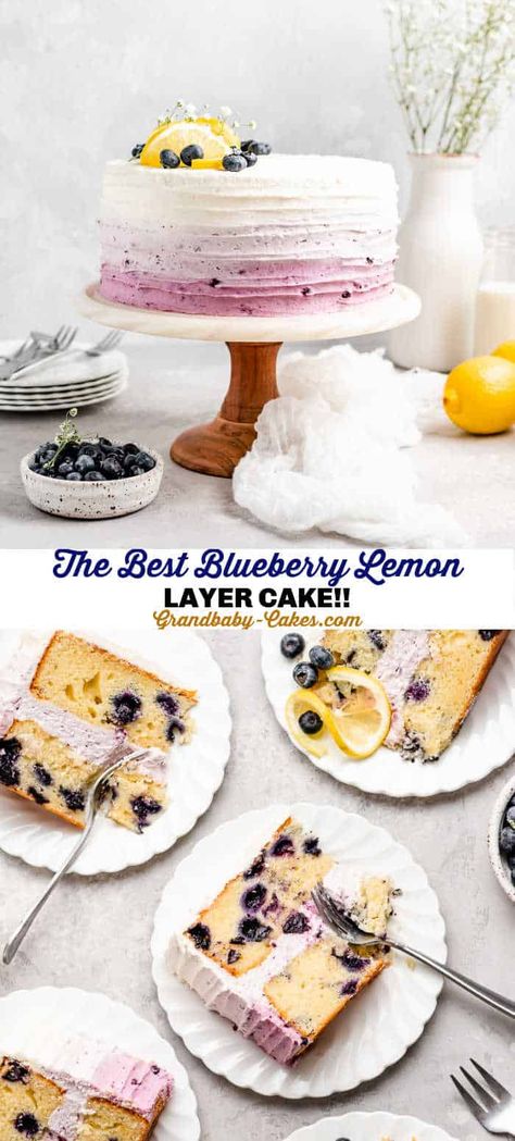 Blueberry Gender Reveal Cake, Lemon Blueberry Cake Design, Mini Lemon Blueberry Cake, Blueberry Lemon Birthday Cake, Rustic Lemon Cake, Lemon Blueberry Mousse Cake, Blueberry Cake With Cream Cheese Icing, Lemon Cake With Blueberry Filling, Lemon Blueberry Birthday Cake