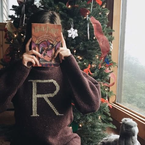 Weasley Sweater, Harry Potter Book, Hogwarts Aesthetic, Harry Potter Christmas, Harry Potter Books, Harry Potter Aesthetic, Harry Potter Series, Mischief Managed, Harry Potter Universal