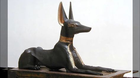 https://www.grunge.com/174278/the-truth-about-ancient-egypts-most-prized-dog-breed/ Gods Pictures, Egyptian Dog, Ancient Egyptian Statues, Pet Cemetery, Dog Died, Egyptian Pharaohs, Puppy Mills, God Pictures, Like Animals