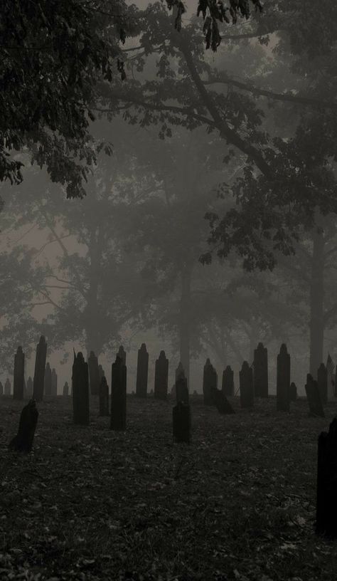 Old Cemetery, Goth Wallpaper, Gothic Wallpaper, Cocoppa Wallpaper, رعب نفسي, Old Cemeteries, Dark Nature Aesthetic, Gothic Aesthetic, Dark Gothic