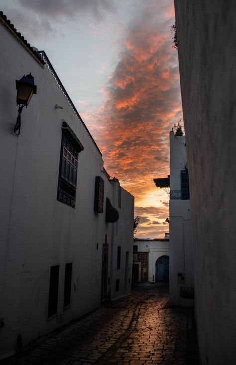 Sunset sidi bou saïd in tunisia 🇹🇳🌅🌍 Sidi Bou Said, Bella Vista, Tunisia, Fine Art Photography, Art Photography, Fine Art, Photography, Quick Saves, Art