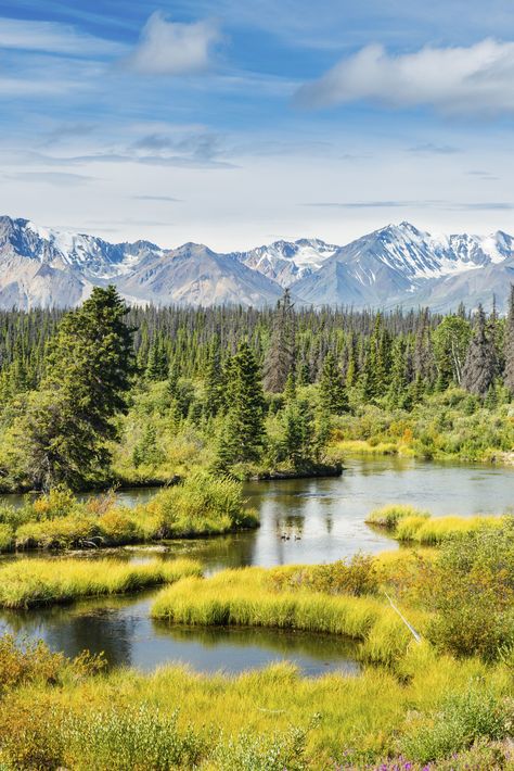 The view from the Alaska Highway towards the glaciated peak of Mount Cairnes, in the Kluane front ranges of Yukon, Canada // photo by @Justin Foulkes #yukon #canada #mountain Yukon Canada, Alaska Highway, The Gold Rush, World Most Beautiful Place, Canada Photos, State Of Colorado, North America Travel, Once In A Lifetime, Canada Travel