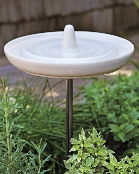 To combat flies and mosquitoes, Rebecca invited birds into her yard by placing a bath in the garden. Bonus: Any water splashed by excited birds gets absorbed by the plants. Birdbath, by Eva Solo; emmohome.com. Modern Bird Baths, Diy Backyard Ideas, Modern Water Feature, Garden Water Feature, Whimsical Woodland, Watering Hole, Backyard Spaces, Backyard Diy Projects, Garden Fountains