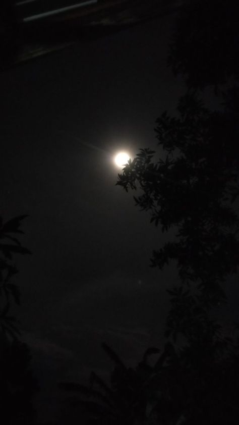 Moon Pics Night Real, Full Moon Pictures, Aesthetic Profile Picture Cartoon Soft, Night Sky Moon, Blue Moon Photography, Night Sky Photography, Sky Photography Nature, Moon Pictures, Shadow Photos