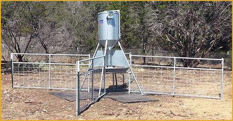 Feed Trough, Deer Feeders, Horse Feeder, Automatic Feeder, Feeding Station, Feeding Time, Solar Panels, Horses