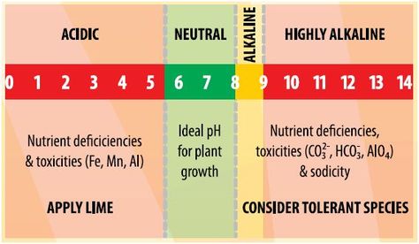 Vegetable Garden Soil, University Of Adelaide, Biodiversity Conservation, Organic Molecules, Nutrient Deficiency, Soil Testing, Soil Ph, Garden Nursery, Fact Sheet