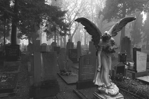 This is what cemetaries should be...huge headstones and graceful angels...moss and damp roses. I could wander through here forever. Genre Of Books, Gothic Images, Cemetery Angels, Cemetery Statues, Cemetery Headstones, Angel Statue, Old Cemeteries, Cemetery Art, Emily Rose