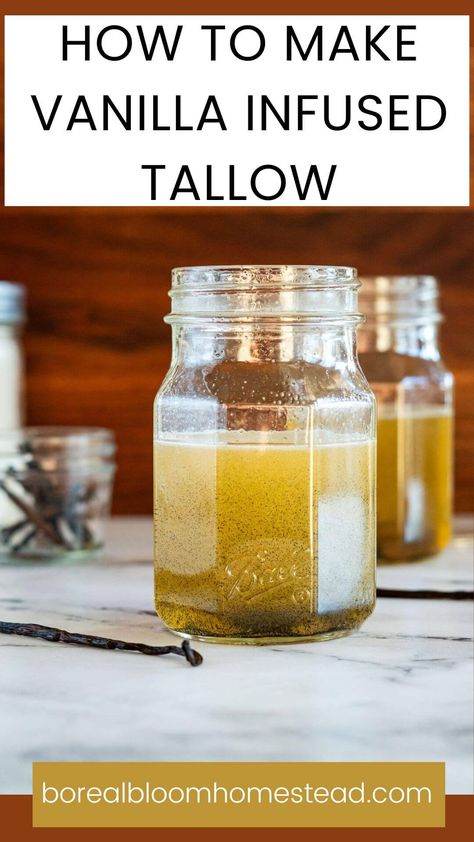 How to make vanilla infused tallow pinterest graphic. Tallow Skin Care Recipe, How To Make Vanilla Body Oil, Tallow Candles With Essential Oils, Beef Tallow Balm Recipe, Honey Tallow Balm Recipe, Diy Tallow Candles, Beef Tallow Diaper Cream, Tallow Lotion Recipe With Coconut Oil, How To Make Beef Tallow Face Cream