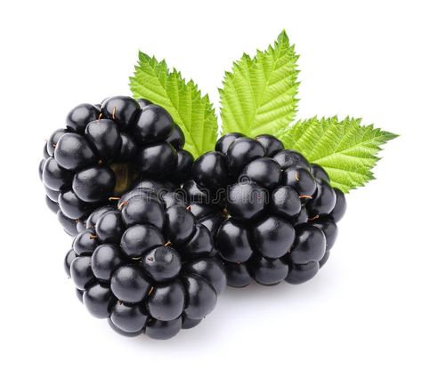 Blackberry with leaves. In closeup , #ad, #Blackberry, #leaves, #closeup #ad Photos Of Fruit, Blackberry Pictures, Blackberry Reference, Blackberry Photography, Blackberry Leaves, Fruits Name In English, Blackberry Fruit, Black Berries, Vegetable Pictures