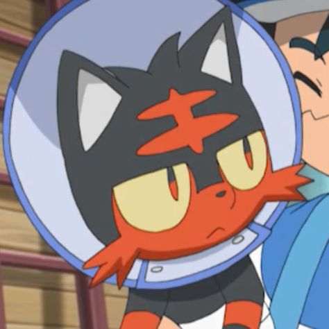 Litten Pokemon Pfp, Litten Wallpapers, Pokemon Profile Picture, Pokemon Cats, Pokemon Litten, Litten Pokemon, Pokemon Pfps, Pokemon Amv, Pokemon Icon