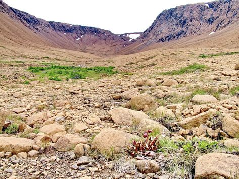 Hiking in the barren desert of Newfoundland's Tablelands Geography Aesthetic, Barren Land, Gros Morne National Park, Gros Morne, Landscape Reference, Planet Mars, Aesthetic Ideas, The Empress, Magic Book