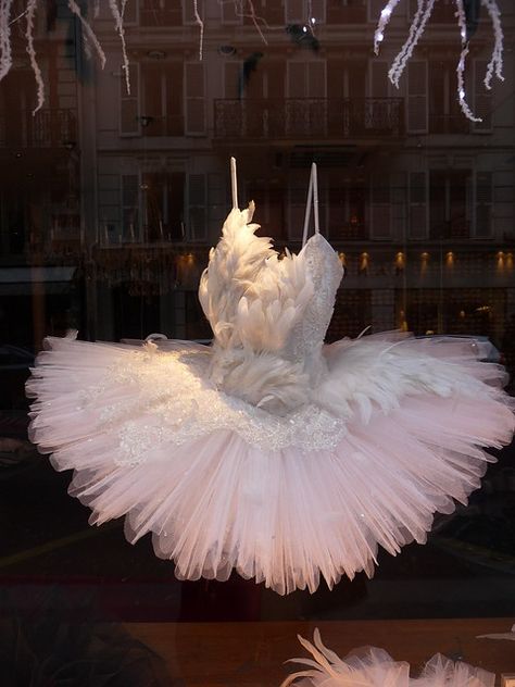 Penari Balet, Feather Tutu, Tutu Ballet, Ballet Beauty, Ellie Saab, Ballet Inspiration, Ballet Clothes, Ballet Beautiful, Ballet Tutu