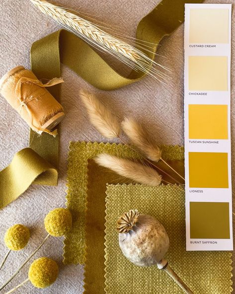 Chartreuse Wedding, Colour Palette Inspiration, Small Backyard Wedding, Gold Wedding Colors, Chartreuse Color, Wedding Colour, Palette Inspiration, Wedding Themes Fall, Wedding Palette