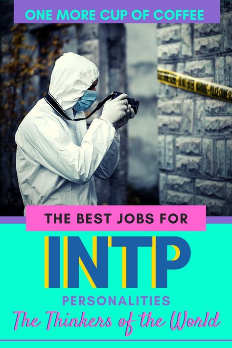 Intp Careers Best Jobs, Intp Jobs Career, Intp Career, Intp Jobs, Intp Core, Intp Female, Free Personality Test, Types Of Psychology, Intp Personality Type