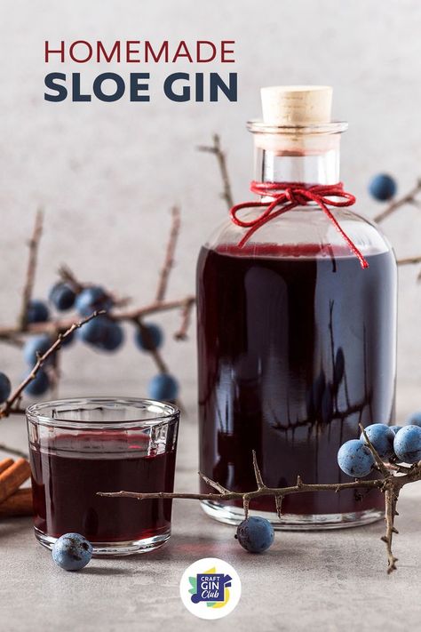 Sloe Gin Recipe, Homemade Gin, Gin Recipe, Blackberry Gin, Sloe Berries, Easy Cocktail Recipes, Gifts For Gin Lovers, Homemade Alcohol, Flavoured Gin