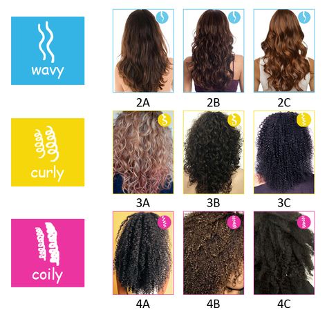 Hair Texture Chart, Pelo Ondulado Natural, Types Of Curly Hair, Care For Curly Hair, Hair Type Chart, Hair Chart, Curly Hair Beauty, Curly Hair Types, Hair Due