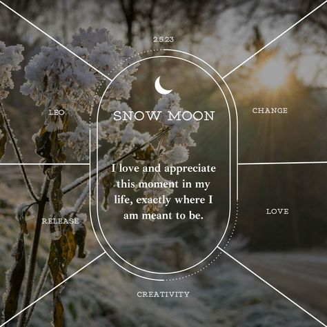 Read about this months full moon energy and get some journal prompts and advice on embracing the moon Full Snow Moon, February Full Moon, Full Moon Spells, Snow Moon, Moon Spells, Moon In Leo, Magick Spells, Candle Magick, Celtic Tree